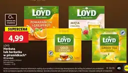 Lidl Herbata pomarańcz i grejpfrut Loyd tea the magic experience oferta