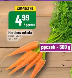 Polomarket Marchew młoda 500g POLOmarket oferta