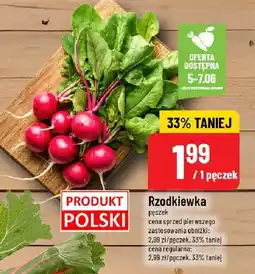 Polomarket Rzodkiewka 1 pęczek POLOmarket oferta