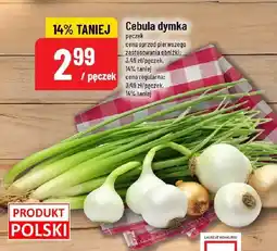 Polomarket Cebula dymka 1 pęczek POLOmarket oferta