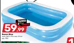 Bricomarche Basen Blue oferta
