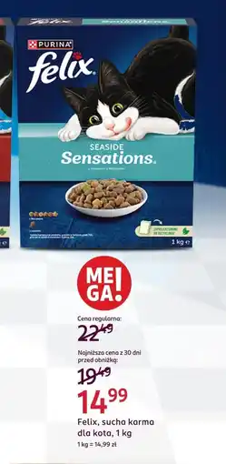 Rossmann Karma dla kota Felix oferta