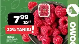 Netto Maliny oferta