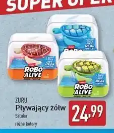 ALDI Żółw pływający Zuru oferta