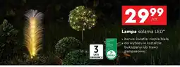 Biedronka Lampa solarna bukszpan oferta