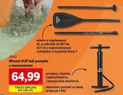 Lidl Wiosło SUP oferta