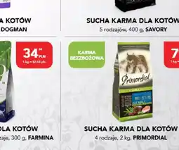 AquaelZOO Przysmak dla kotów Salsa drink oferta