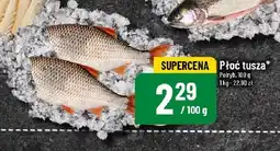 Polomarket Ryba płoć tusza 100g Polryb oferta