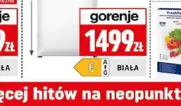 Neopunkt Zamrażarka Gorenje FN4172CW oferta