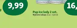 Maxi Zoo Wanpy pasztecik oferta