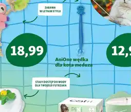 Maxi Zoo AniOne zabawka leniwiec z matatabi oferta