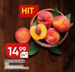 Chata Polska Brzoskwinia Chata Polska oferta