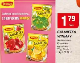 Chorten Galaretka Winiary Truskawkowa Nestle oferta