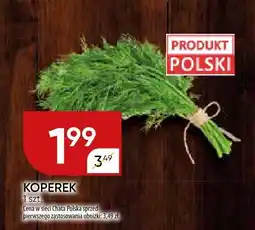 Chata Polska Koperek Chata Polska oferta