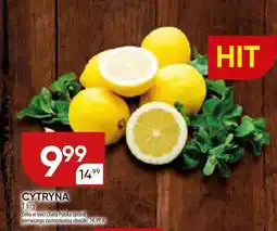 Chata Polska Cytryna Chata Polska oferta