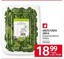 Selgros MIĘTA CIĘTA 200 G oferta