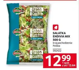 Selgros SAŁATKA ENDIVIA MIX 500 G oferta