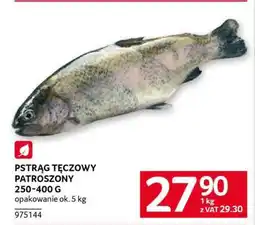 Selgros Pstrąg tęczowy – patroszony oferta