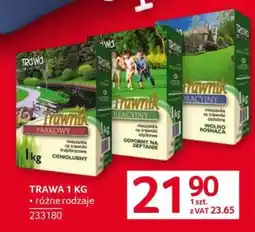 Selgros Trawa 1 kg oferta