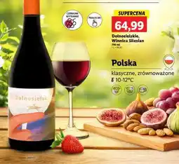 Lidl Dolnośląskie, Winnica Silesian oferta