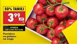 Biedronka POMIDORY NA GAŁĄZCE NA WAGĘ oferta