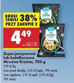 Biedronka Zupa jarzynowa lub kalafiorowa Mroźna Kraina , 750 g oferta