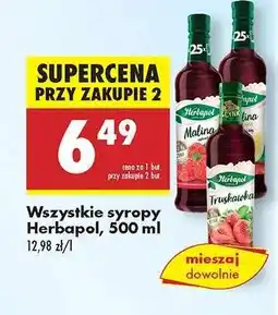 Biedronka Wszystkie syropy Herbapol, 500 ml oferta
