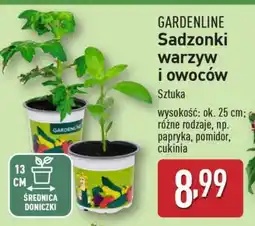 ALDI GARDENLINE Sadzonki warzyw i owoców oferta