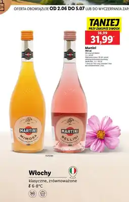 Lidl Wino bellini Martini oferta