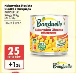 Intermarche Kukurydza złocista Bonduelle oferta