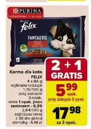Carrefour Karma dla kota wiejskie smaki Purina Felix Fantastic oferta