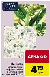Carrefour Serwetki wiosenne Paw oferta