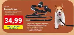 Lidl Smycz dla psa Zoofari oferta