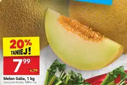 Twój Market Melon Galia 1 kg Twój Market oferta