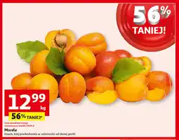 Auchan Morele oferta