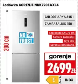 Neopunkt Lodówka Gorenje oferta