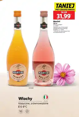 Lidl Wino Martini oferta