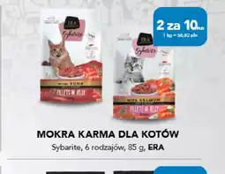 AquaelZOO Mokra karma dla kotów Sybarite oferta