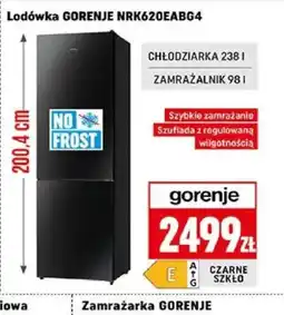 Neopunkt Lodówka Gorenje NRK620EABG4 oferta