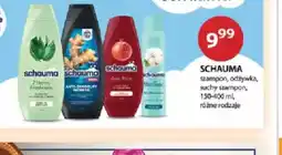 Drogerie Laboo Schauma oferta