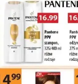Drogerie Laboo Pantene PPV oferta