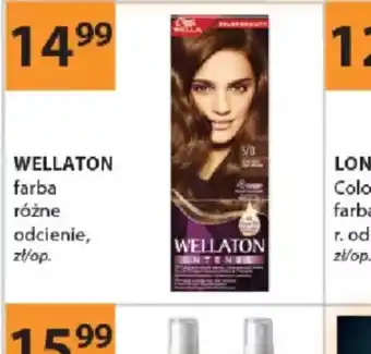 Drogerie Laboo Wellaton farba oferta