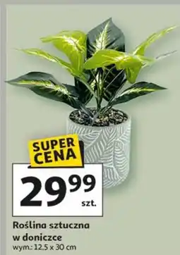 Auchan Roslina sztuczna oferta