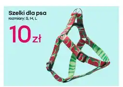 Pepco Szelki dla psa rozm. l oferta