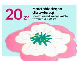 Pepco Mata chłodząca dla zwierząt oferta