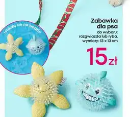 Pepco Zabawka dla psa oferta