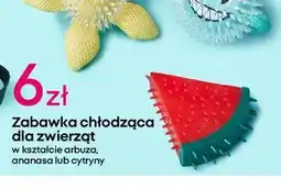 Pepco Zabawka chłodząca ananas oferta