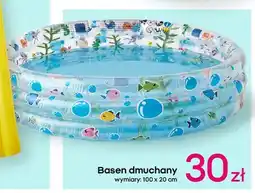 Pepco Basen dmuchany 100 x 20 cm oferta