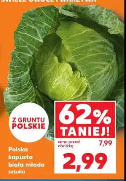 Kaufland Kapusta biała młoda oferta