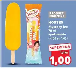 Kaufland Lód czajnik Hortex mystery ice oferta